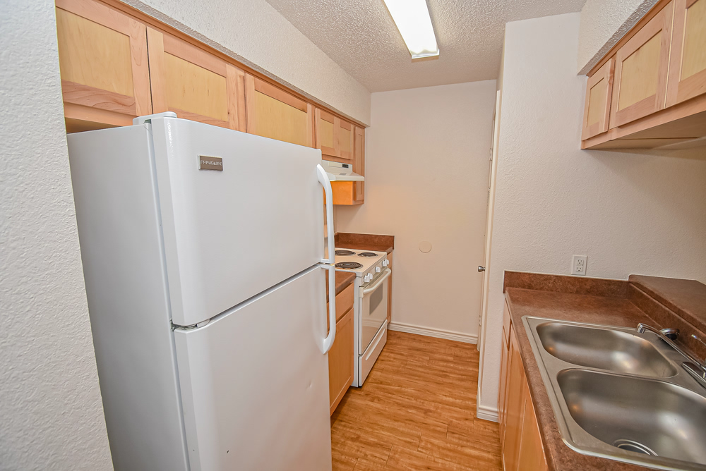 Taylor Square apartment kitchen